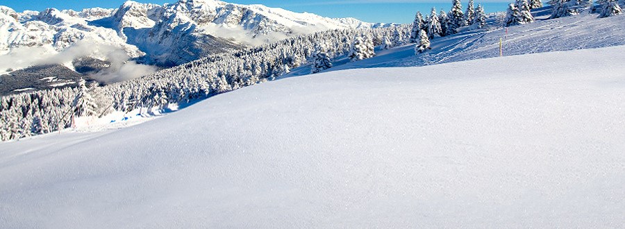 Val di Sole na narty